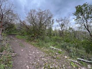 TOLLGATE CANYON - Land