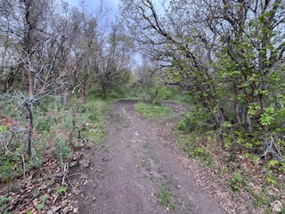 TOLLGATE CANYON - Land