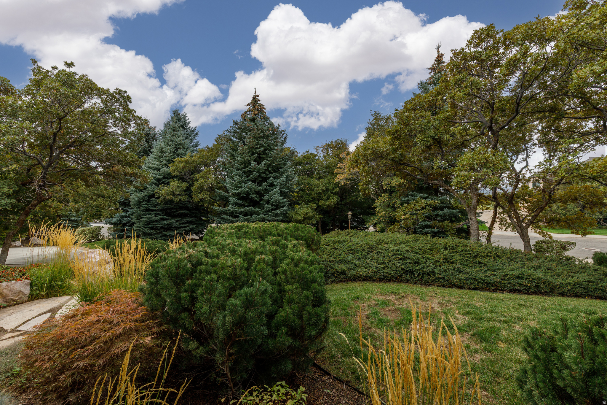 LAYTON RIDGES - Residential
