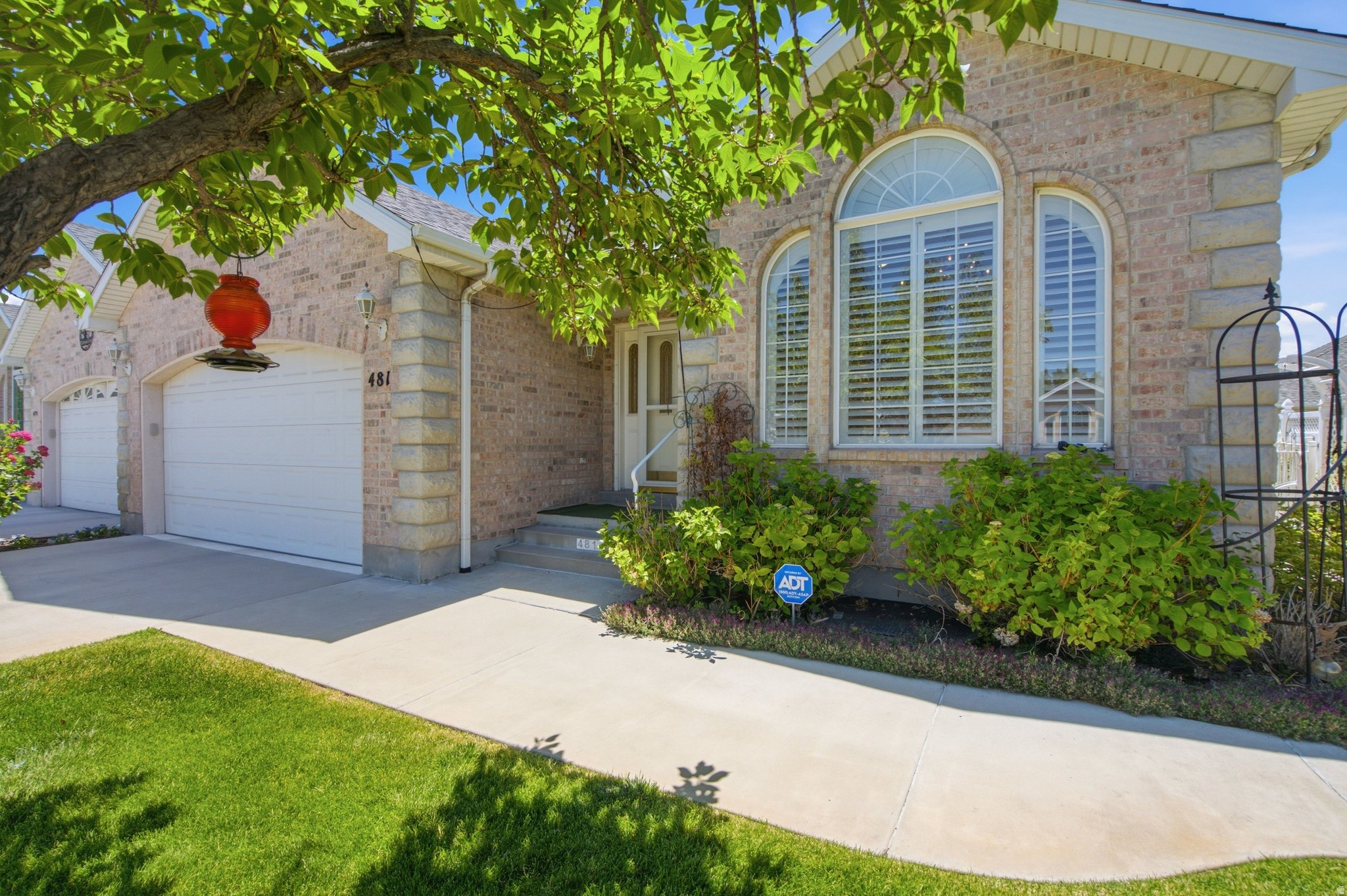 MOUNTAIN ROSE - Residential