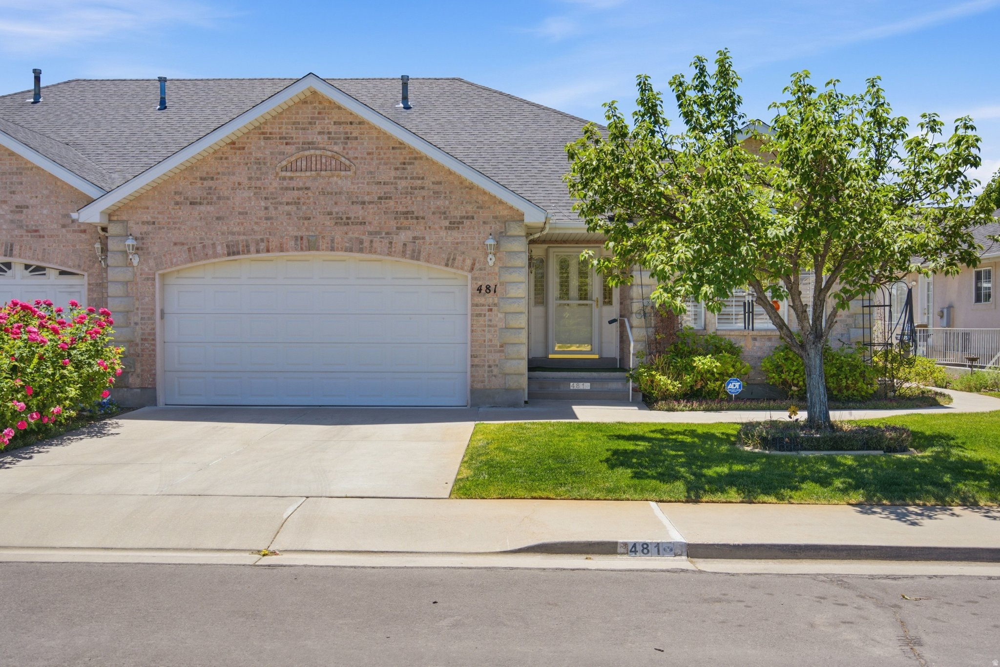 MOUNTAIN ROSE - Residential
