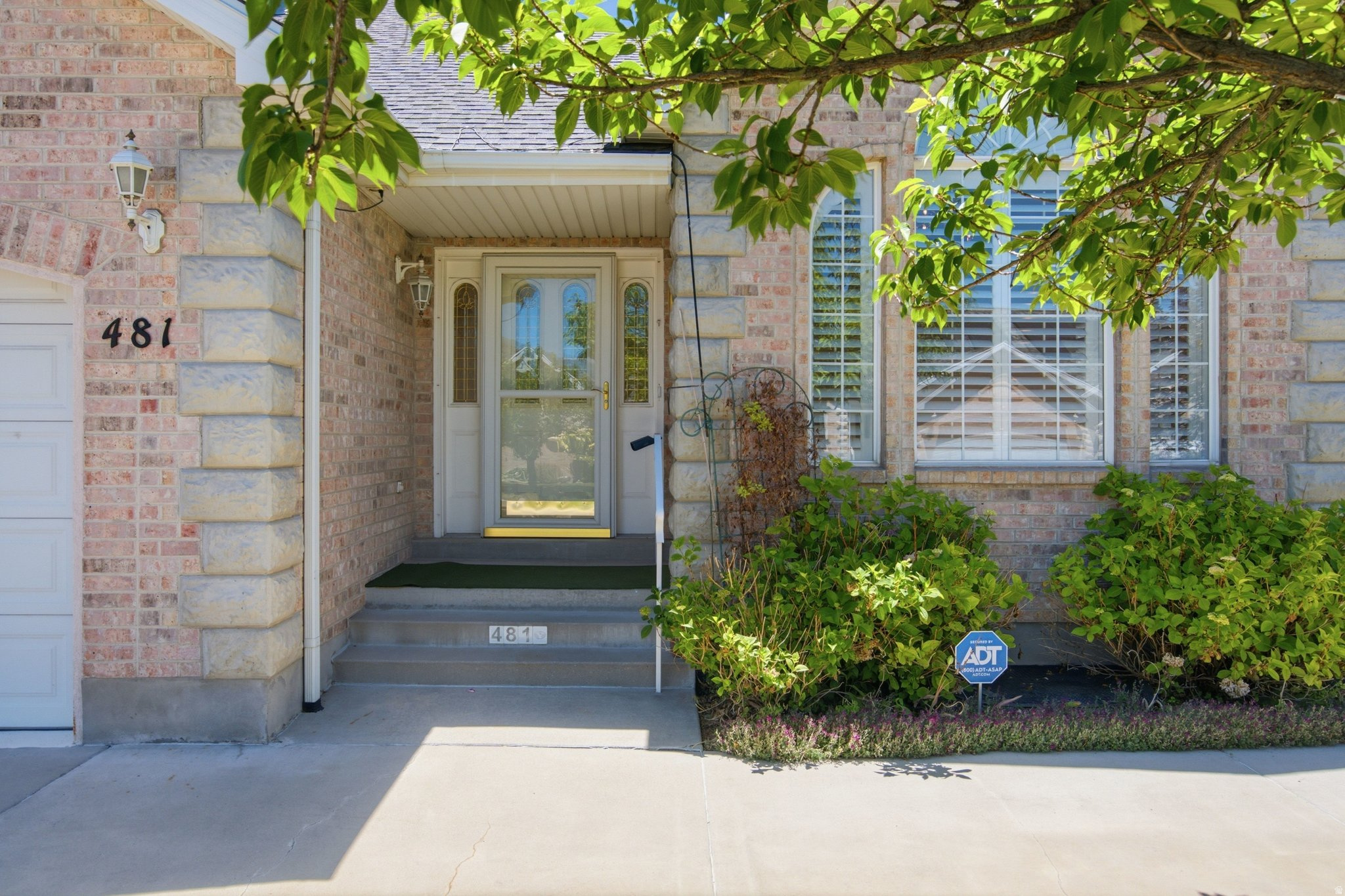 MOUNTAIN ROSE - Residential