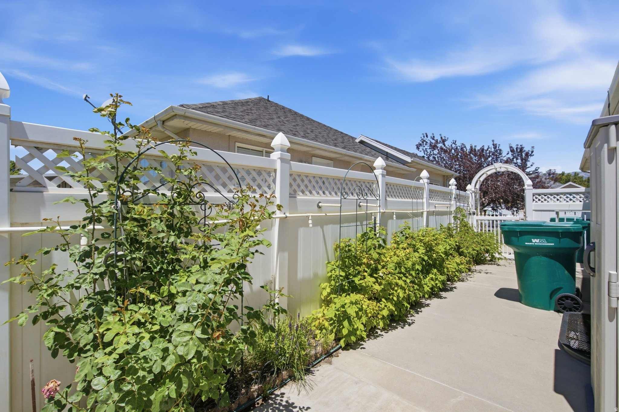 MOUNTAIN ROSE - Residential