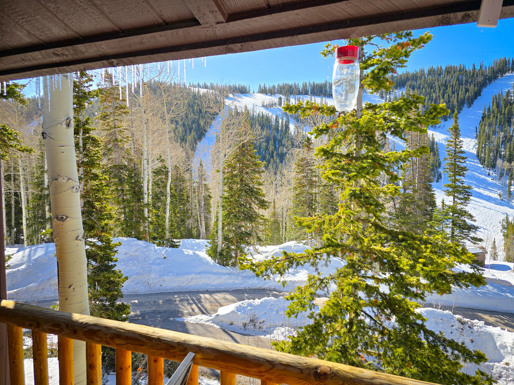 SNOWFLAKE CONDOMINIUMS - Residential