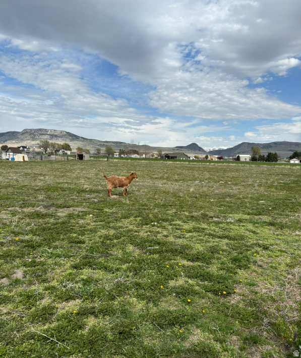 ASPEN MEADOWS - Land