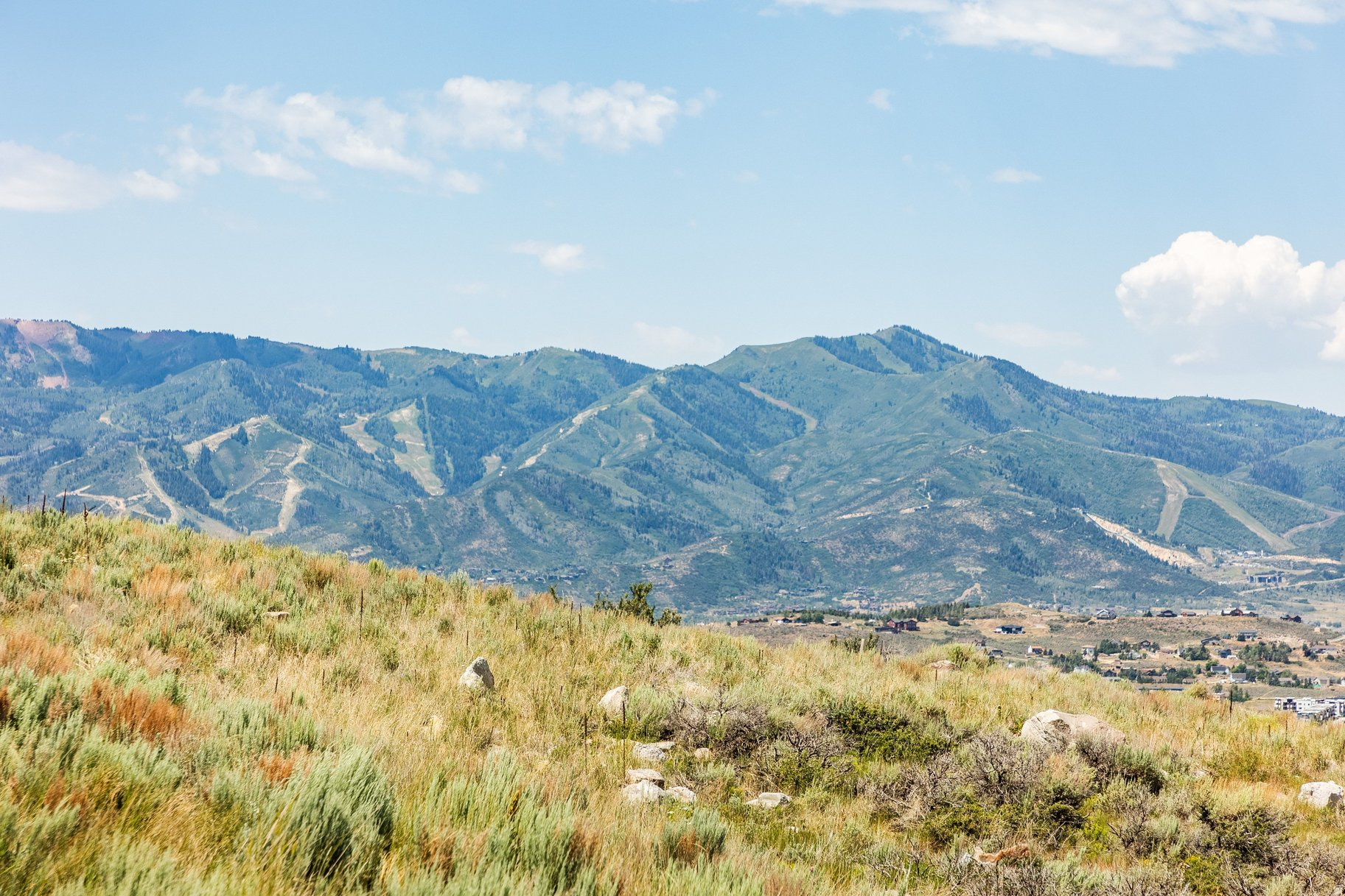 ELK RIDGE BLUFFS - Land