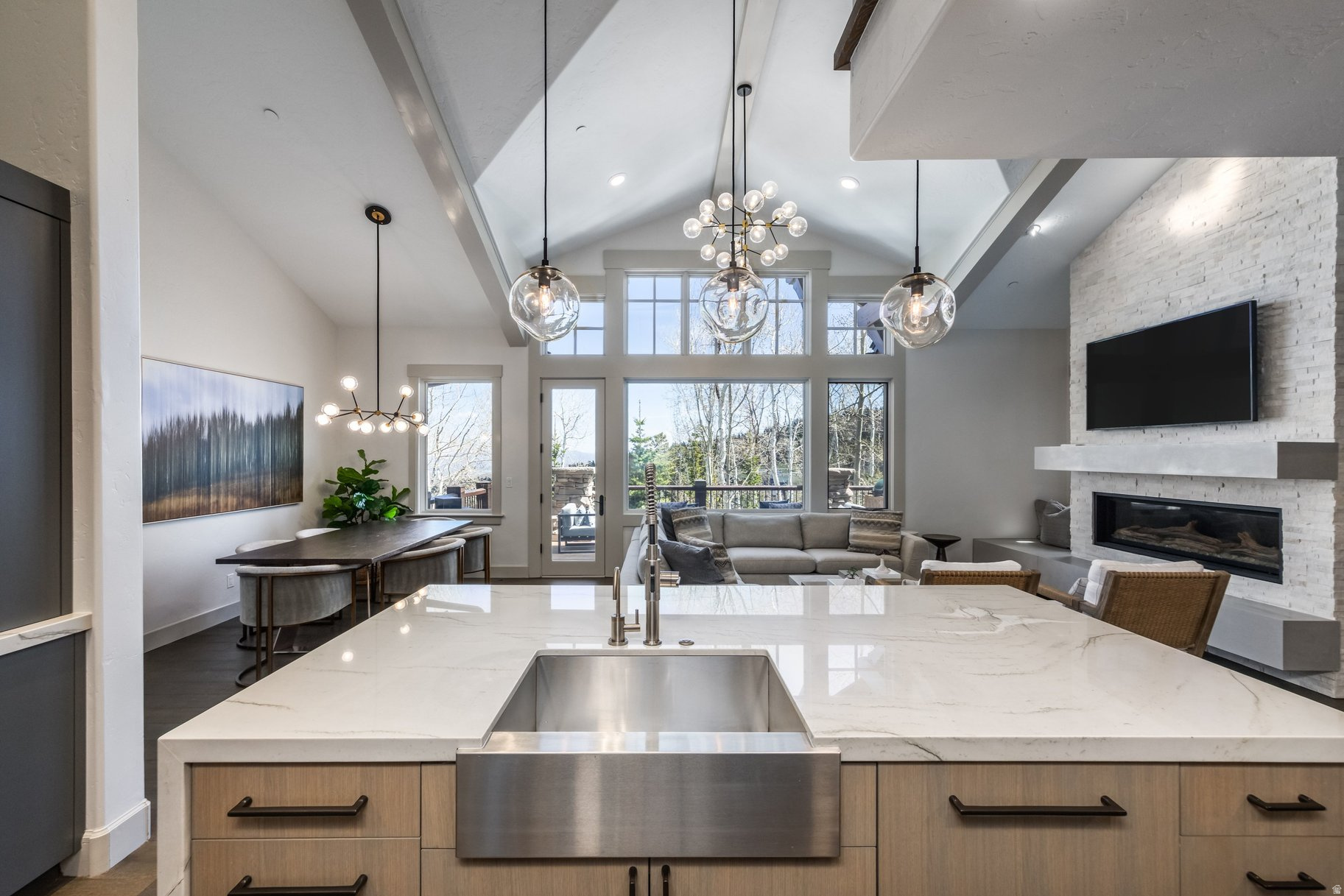 LARKSPUR TOWNHOMES - Residential