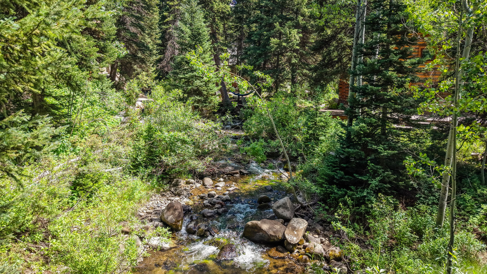 BIG COTTONWOOD CREEK - Residential