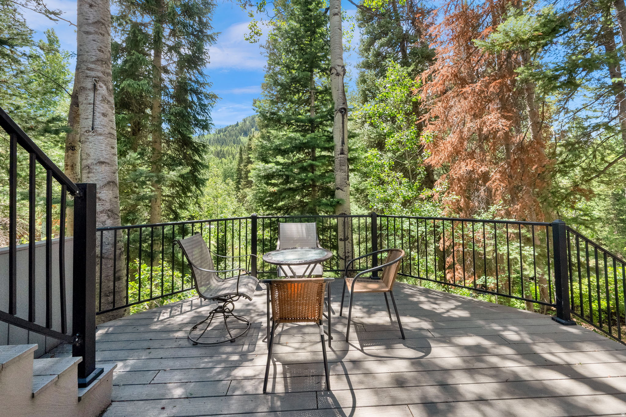BIG COTTONWOOD CREEK - Residential