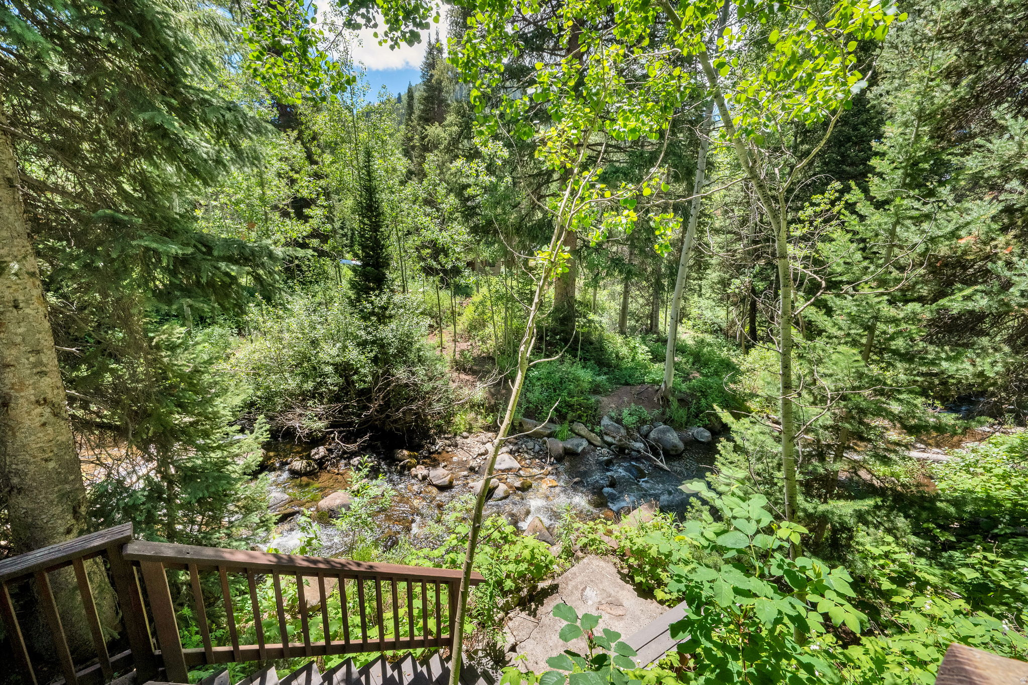 BIG COTTONWOOD CREEK - Residential