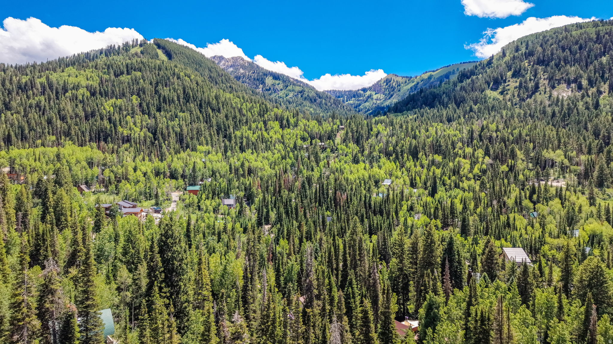 BIG COTTONWOOD CREEK - Residential