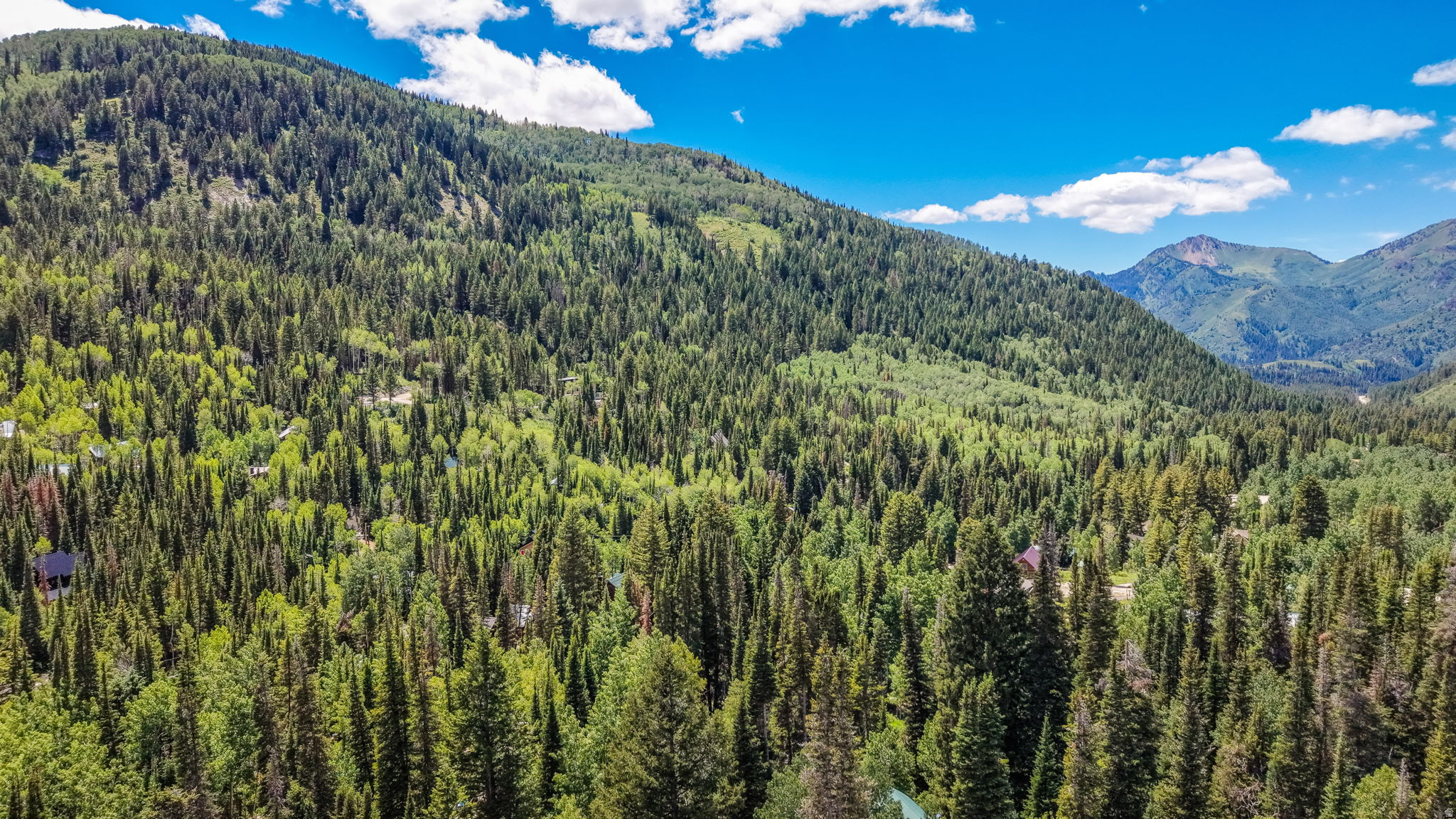 BIG COTTONWOOD CREEK - Residential