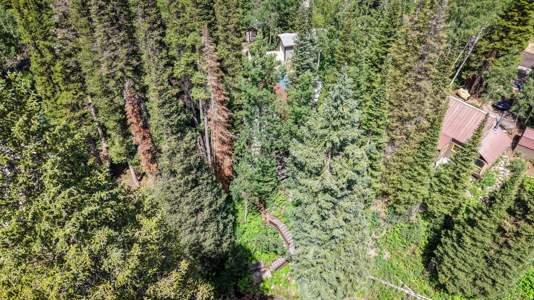 BIG COTTONWOOD CREEK - Residential