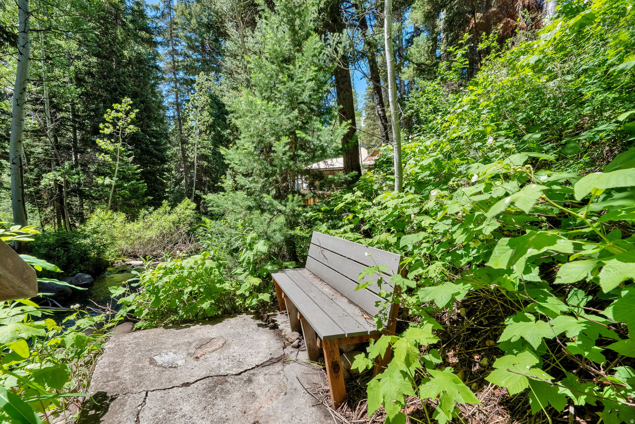BIG COTTONWOOD CREEK - Residential