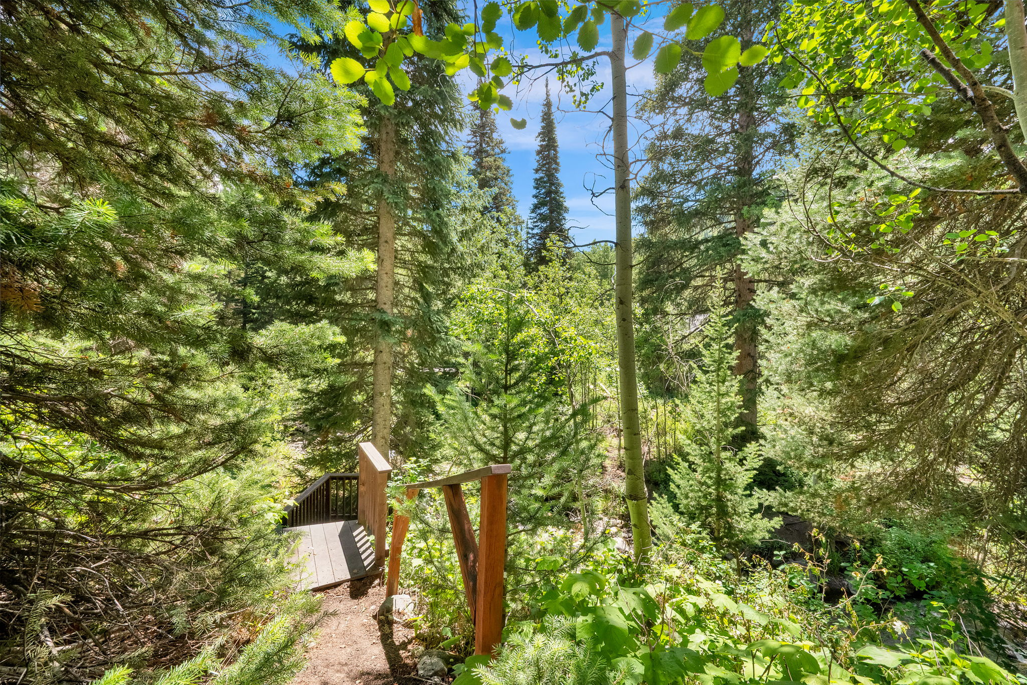 BIG COTTONWOOD CREEK - Residential