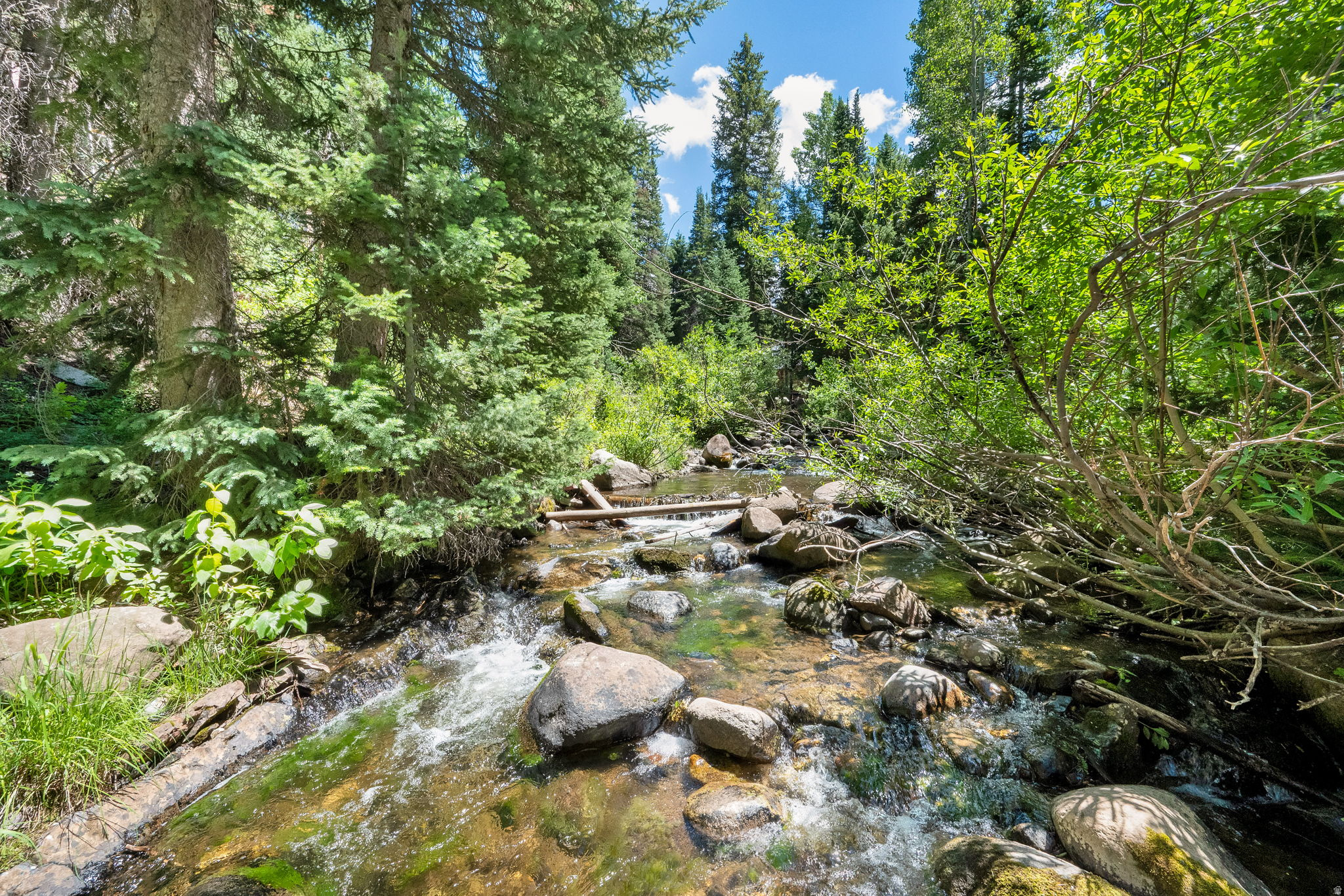BIG COTTONWOOD CREEK - Residential