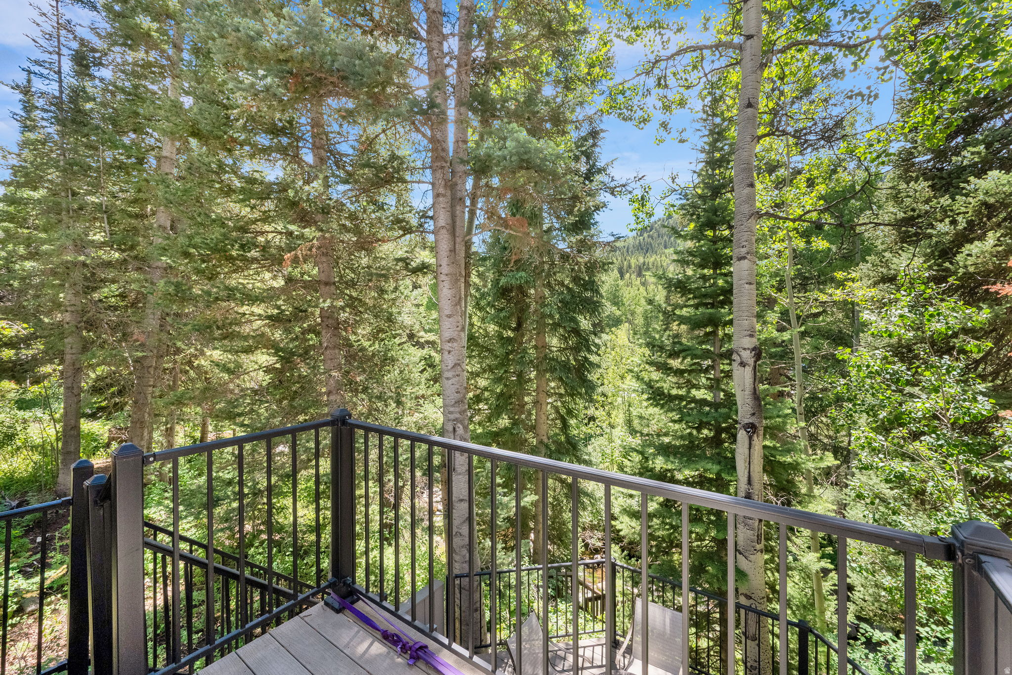 BIG COTTONWOOD CREEK - Residential