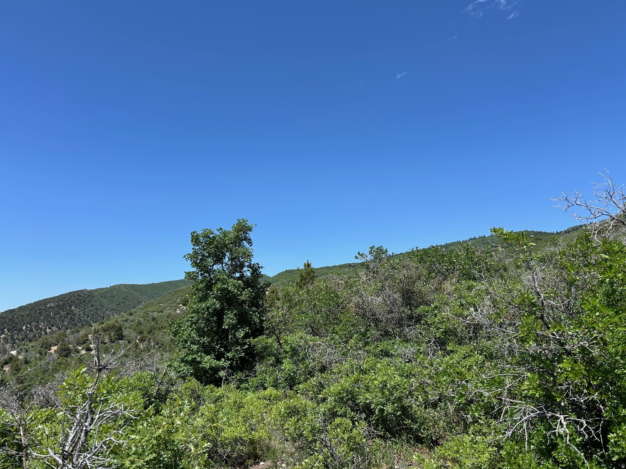 THE HOLLOWS AT LEGACY MOUNTAIN - Land