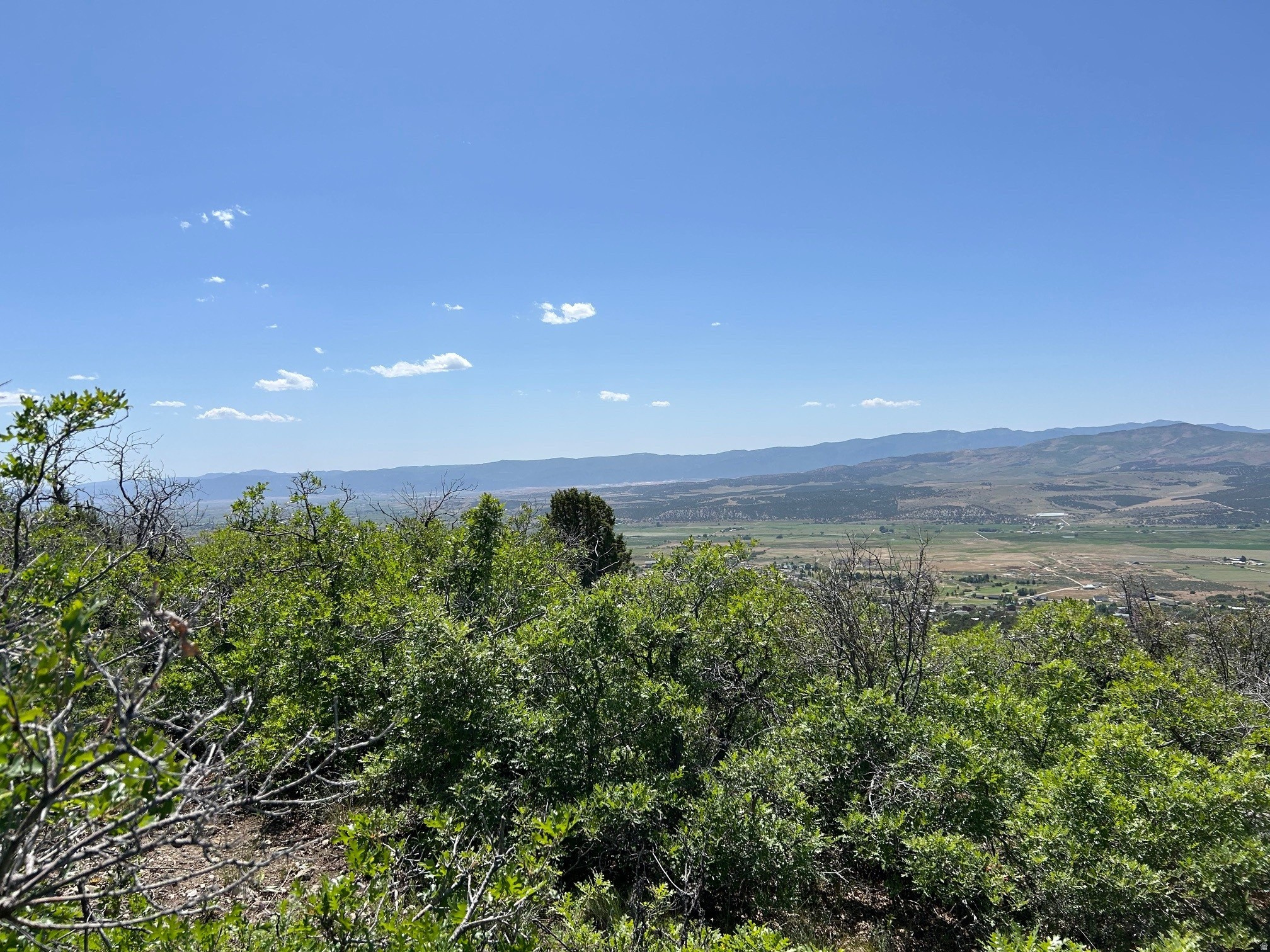 THE HOLLOWS AT LEGACY MOUNTAIN - Land