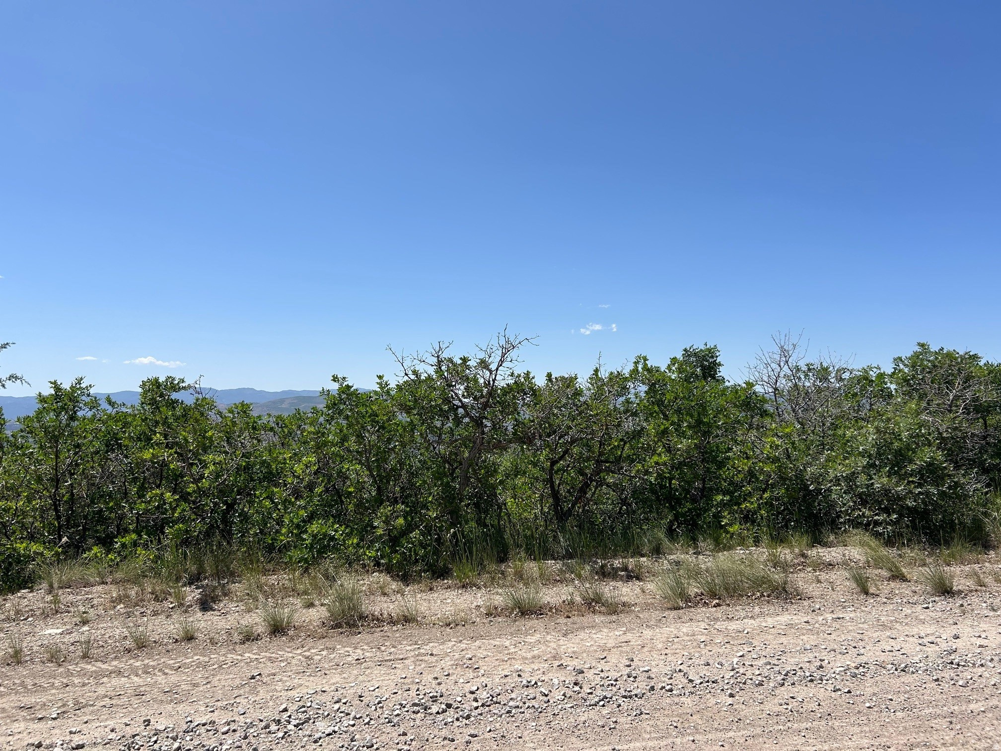 THE HOLLOWS AT LEGACY MOUNTAIN - Land