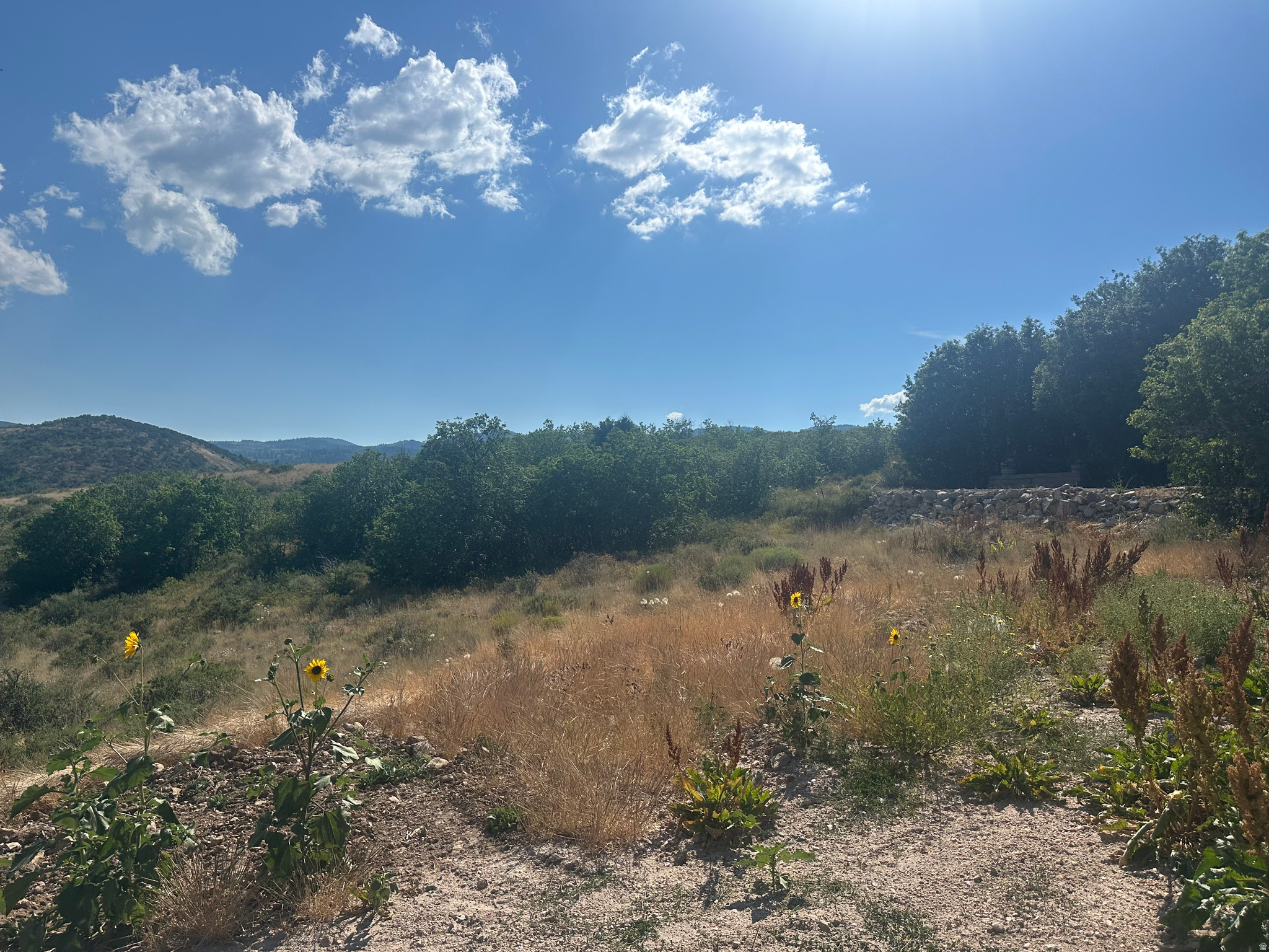 SWAN CREEK PH 2 - Land