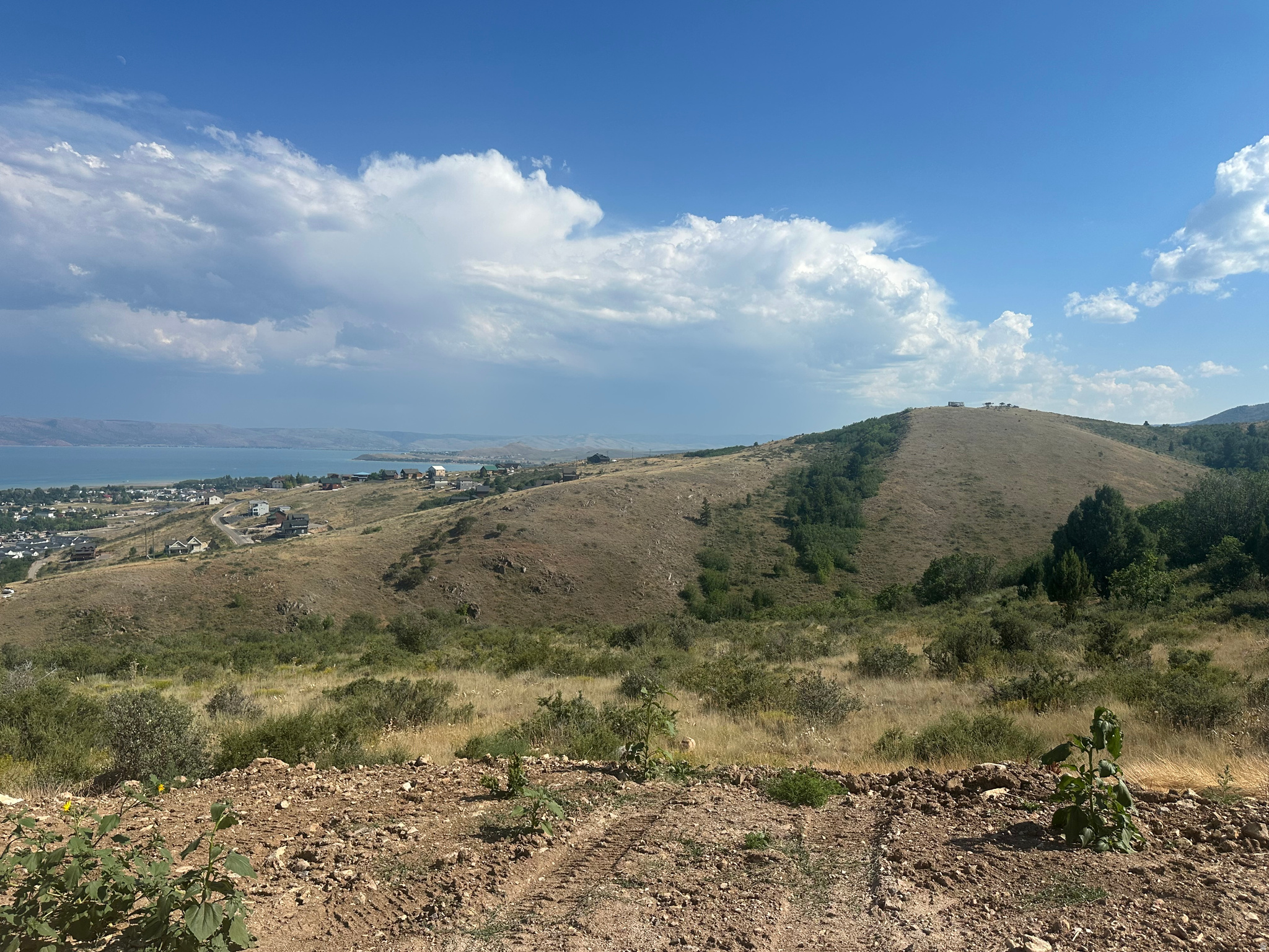 SWAN CREEK PH 2 - Land