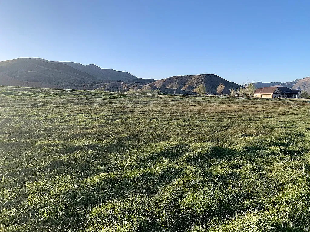 PINE CREEK MEADOWS MINOR SUBDIVISION - Land