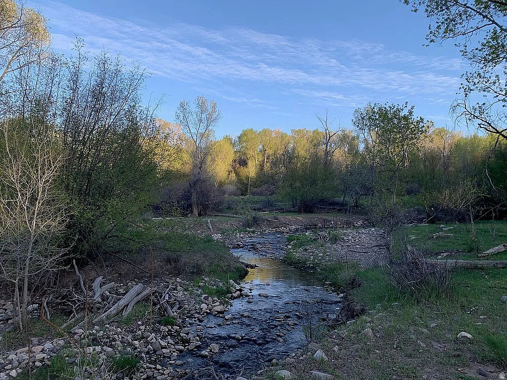 PINE CREEK MEADOWS MINOR SUBDIVISION - Land
