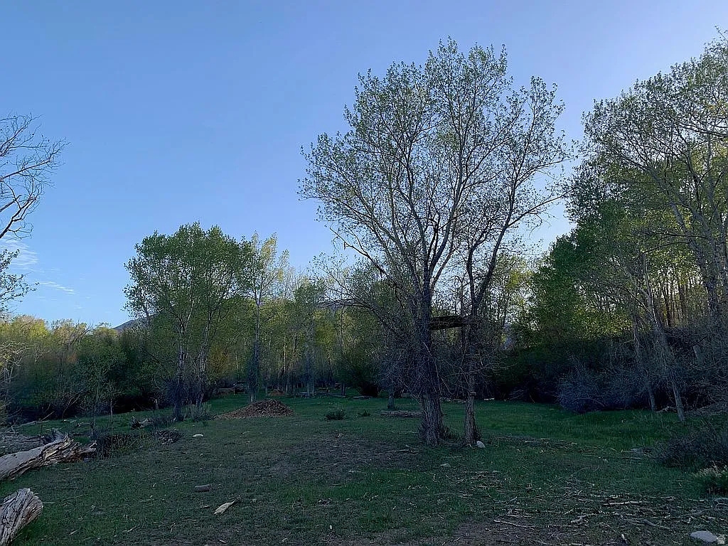 PINE CREEK MEADOWS MINOR SUBDIVISION - Land