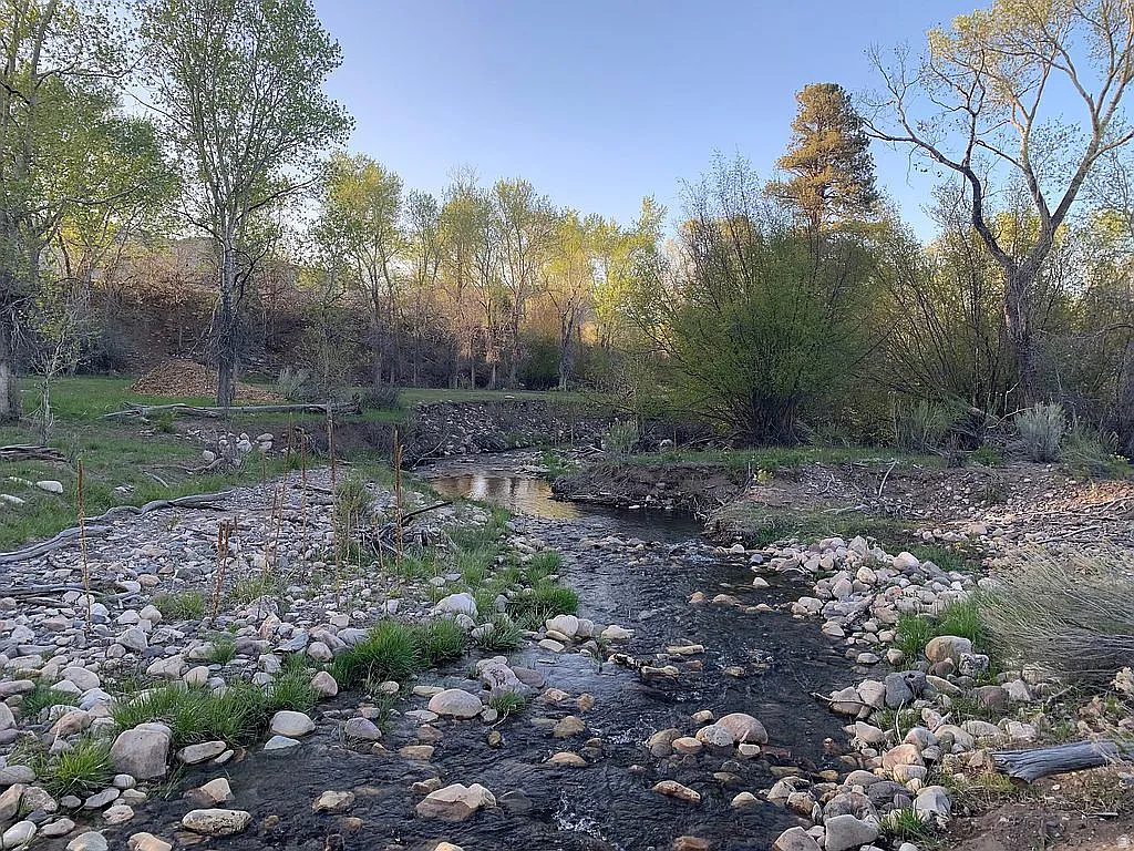 PINE CREEK MEADOWS MINOR SUBDIVISION - Land