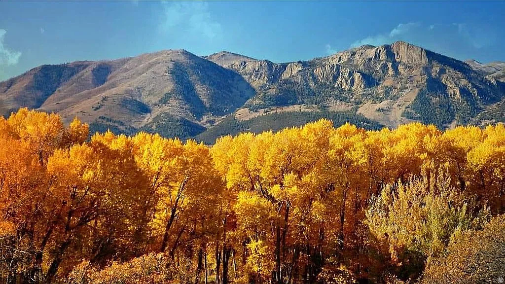 PINE CREEK MEADOWS MINOR SUBDIVISION - Land