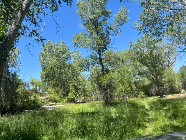 PINE CREEK MEADOWS MINOR SUBDIVISION - Land
