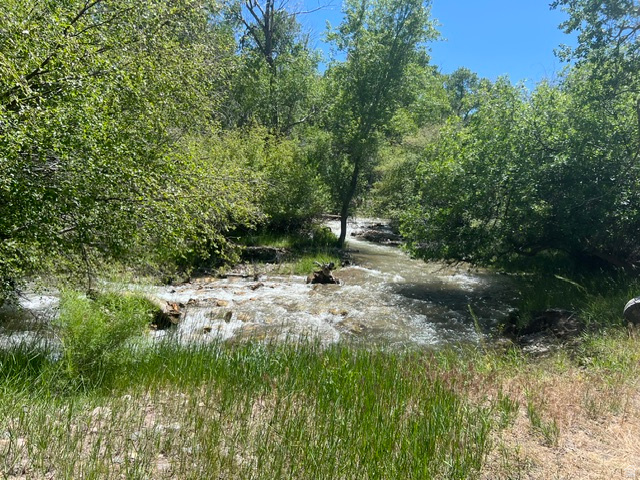 PINE CREEK MEADOWS MINOR SUBDIVISION - Land