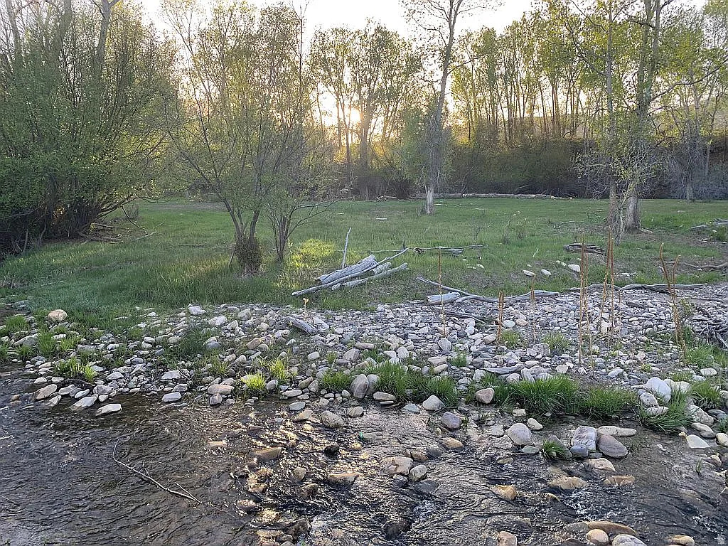 PINE CREEK MEADOWS MINOR SUBDIVISION - Land