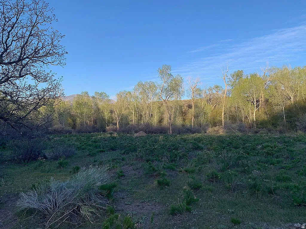 PINE CREEK MEADOWS MINOR SUBDIVISION - Land