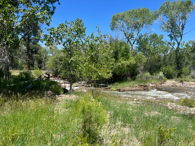 PINE CREEK MEADOWS MINOR SUBDIVISION - Land