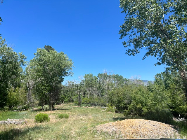 PINE CREEK MEADOWS MINOR SUBDIVISION - Land