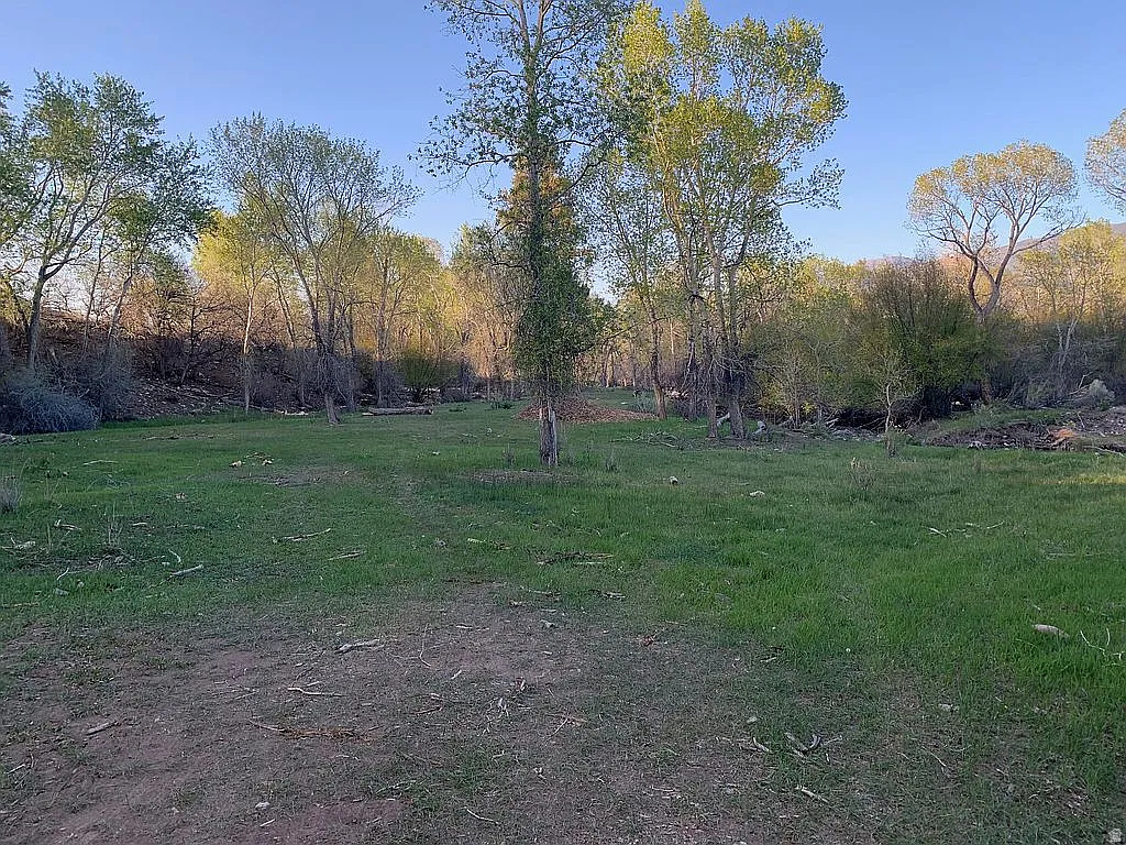 PINE CREEK MEADOWS MINOR SUBDIVISION - Land