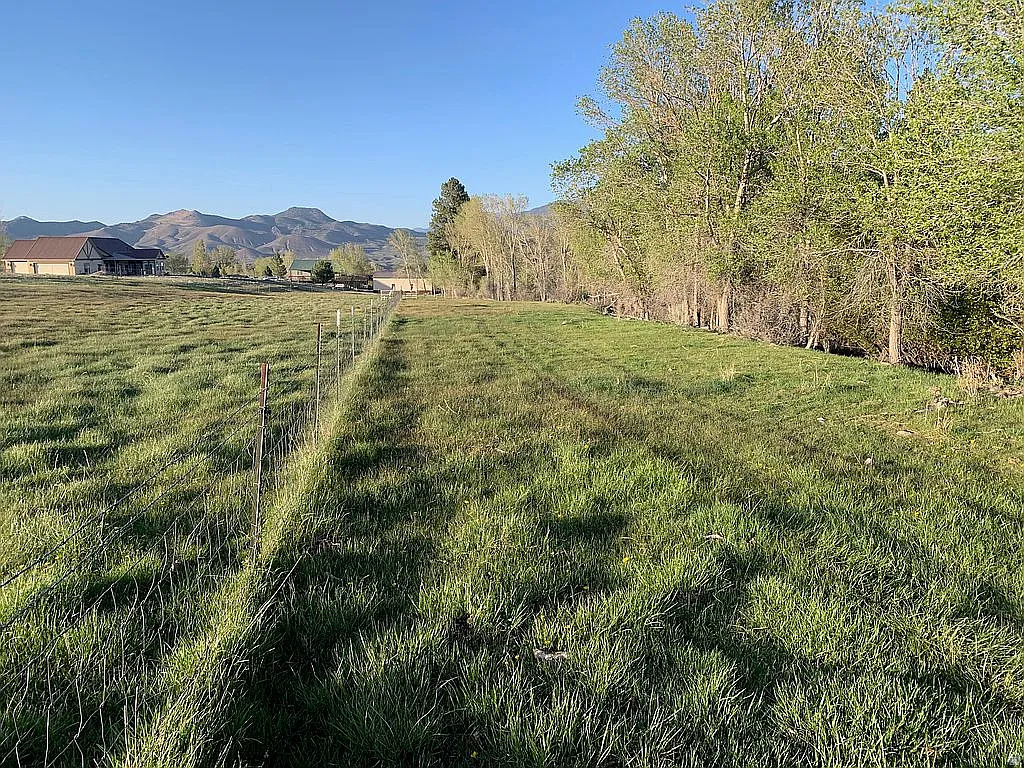 PINE CREEK MEADOWS MINOR SUBDIVISION - Land
