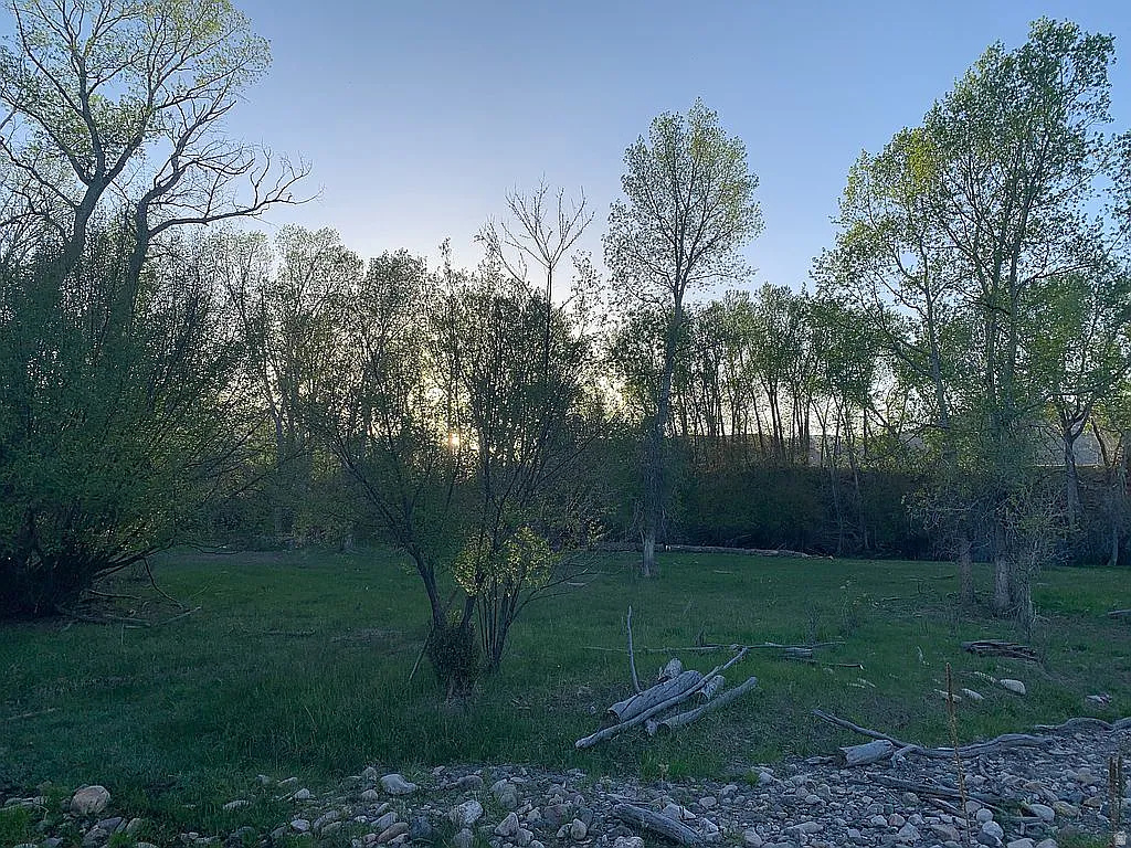 PINE CREEK MEADOWS MINOR SUBDIVISION - Land