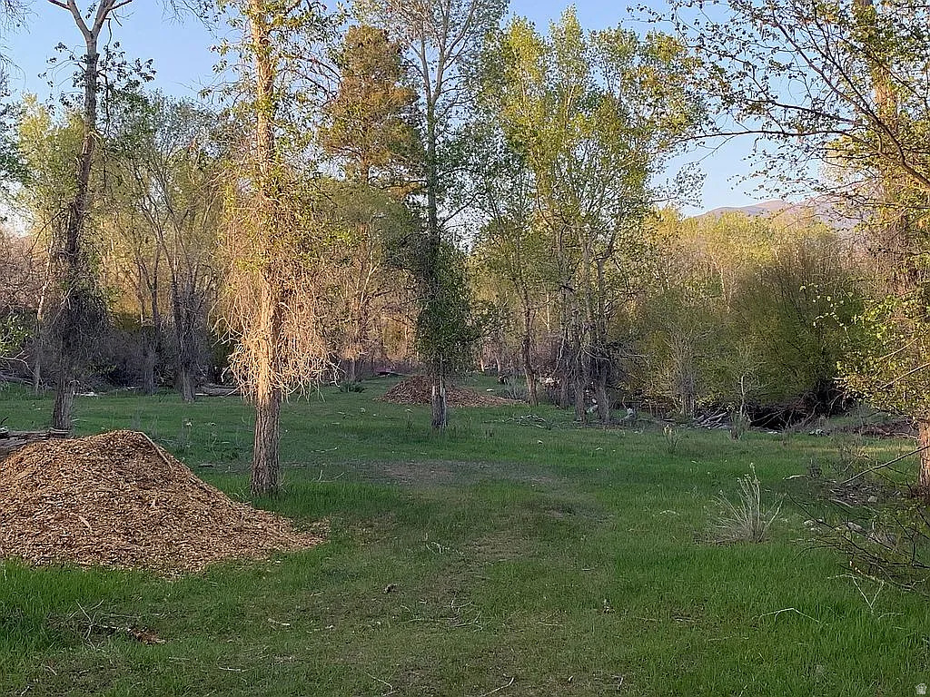 PINE CREEK MEADOWS MINOR SUBDIVISION - Land