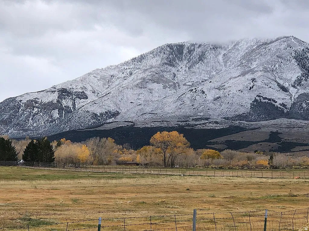 PINE CREEK MEADOWS MINOR SUBDIVISION - Land