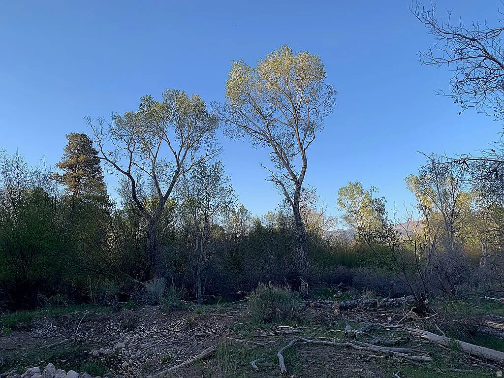 PINE CREEK MEADOWS MINOR SUBDIVISION - Land