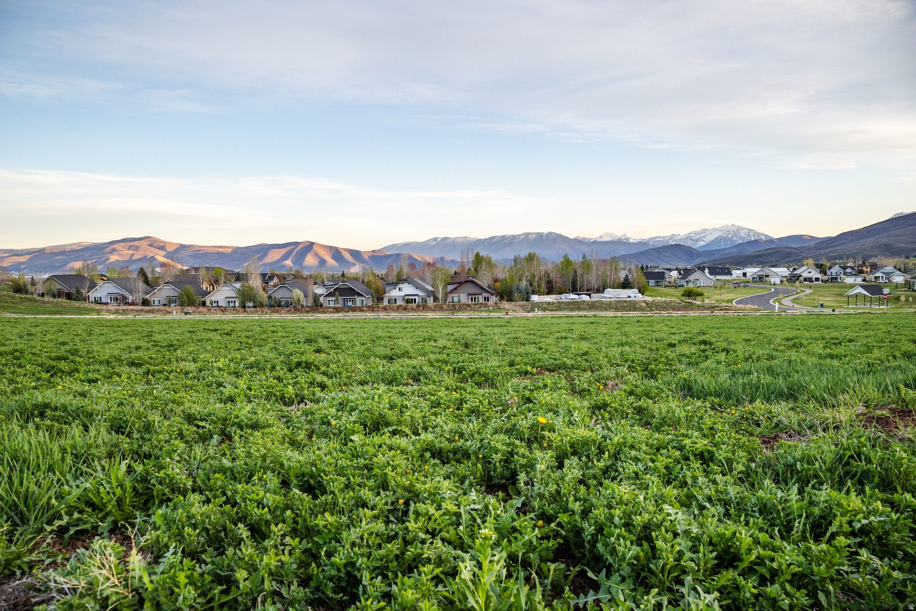 FARM AT WILSON LANE - Land