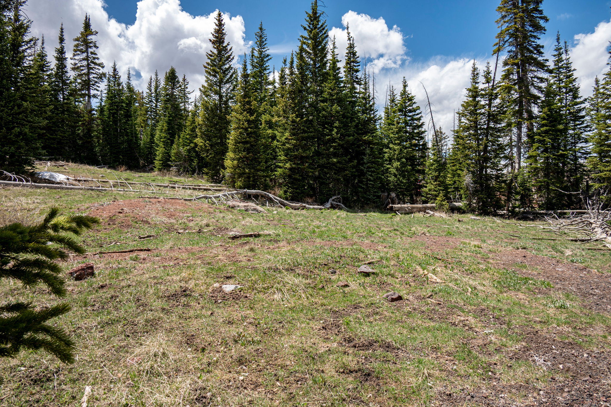 RAINBOW MEADOW RANCHOS - Land