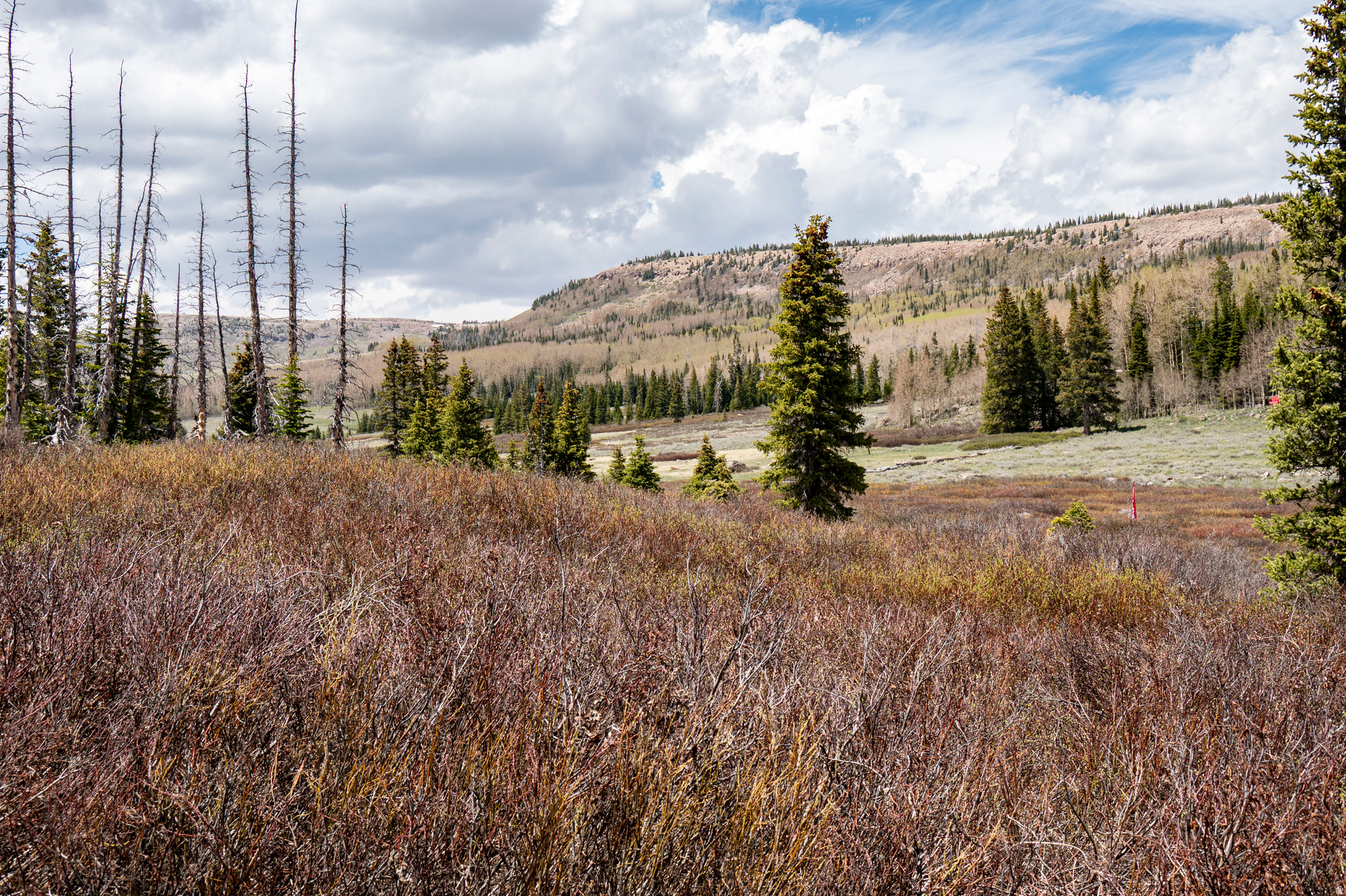 RAINBOW MEADOW RANCHOS - Land