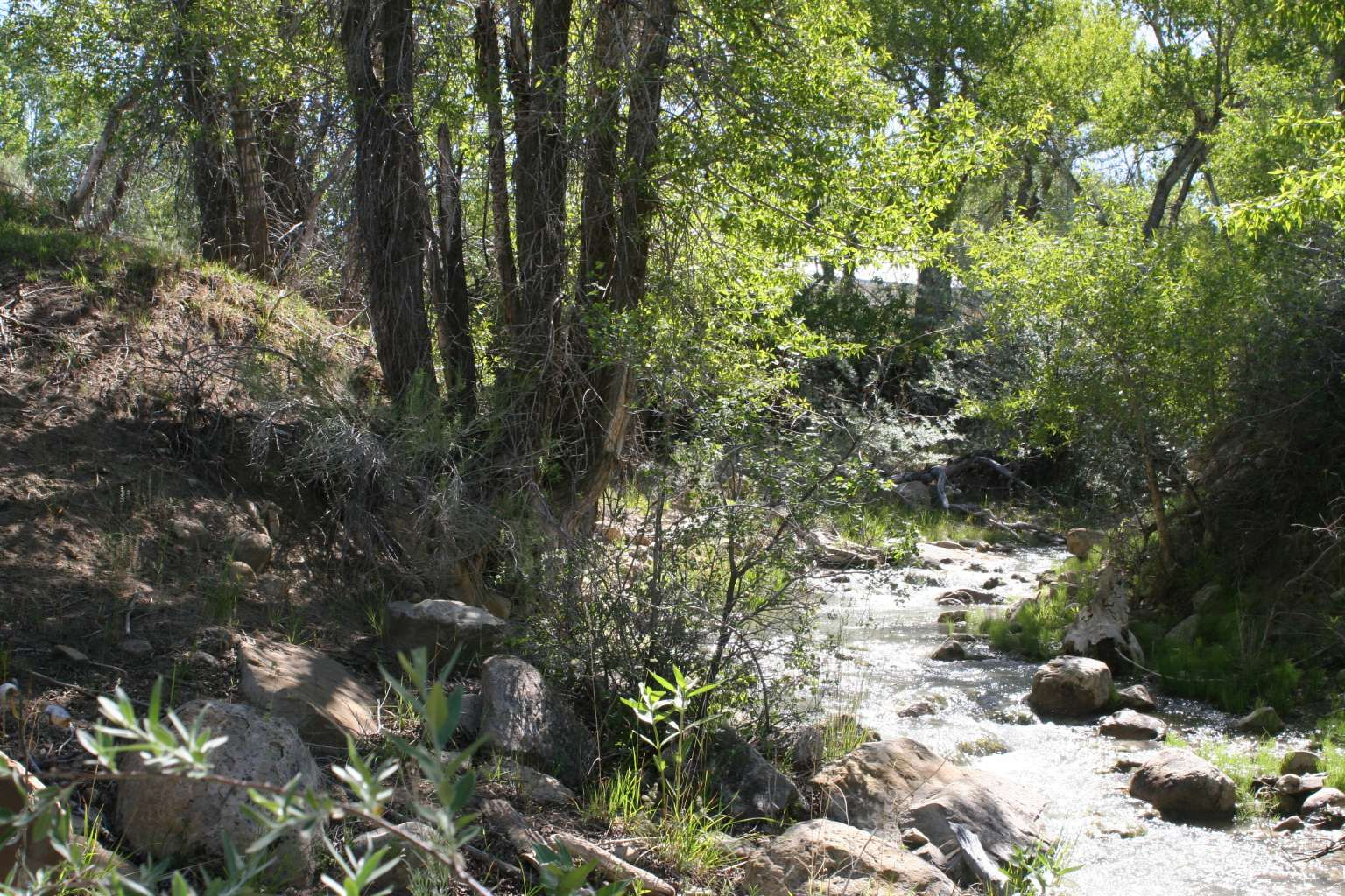 WAGSTAFF SANPETE COUNTY SUBDIVISION - Land