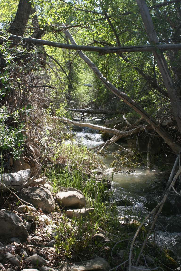 WAGSTAFF SANPETE COUNTY SUBDIVISION - Land