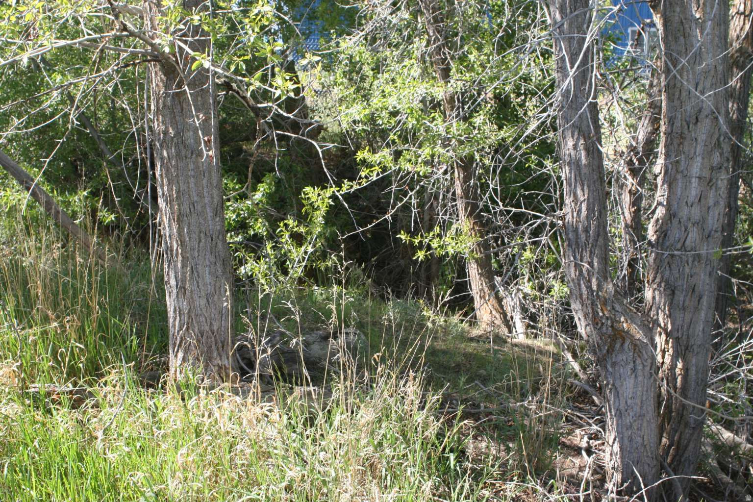 WAGSTAFF SANPETE COUNTY SUBDIVISION - Land