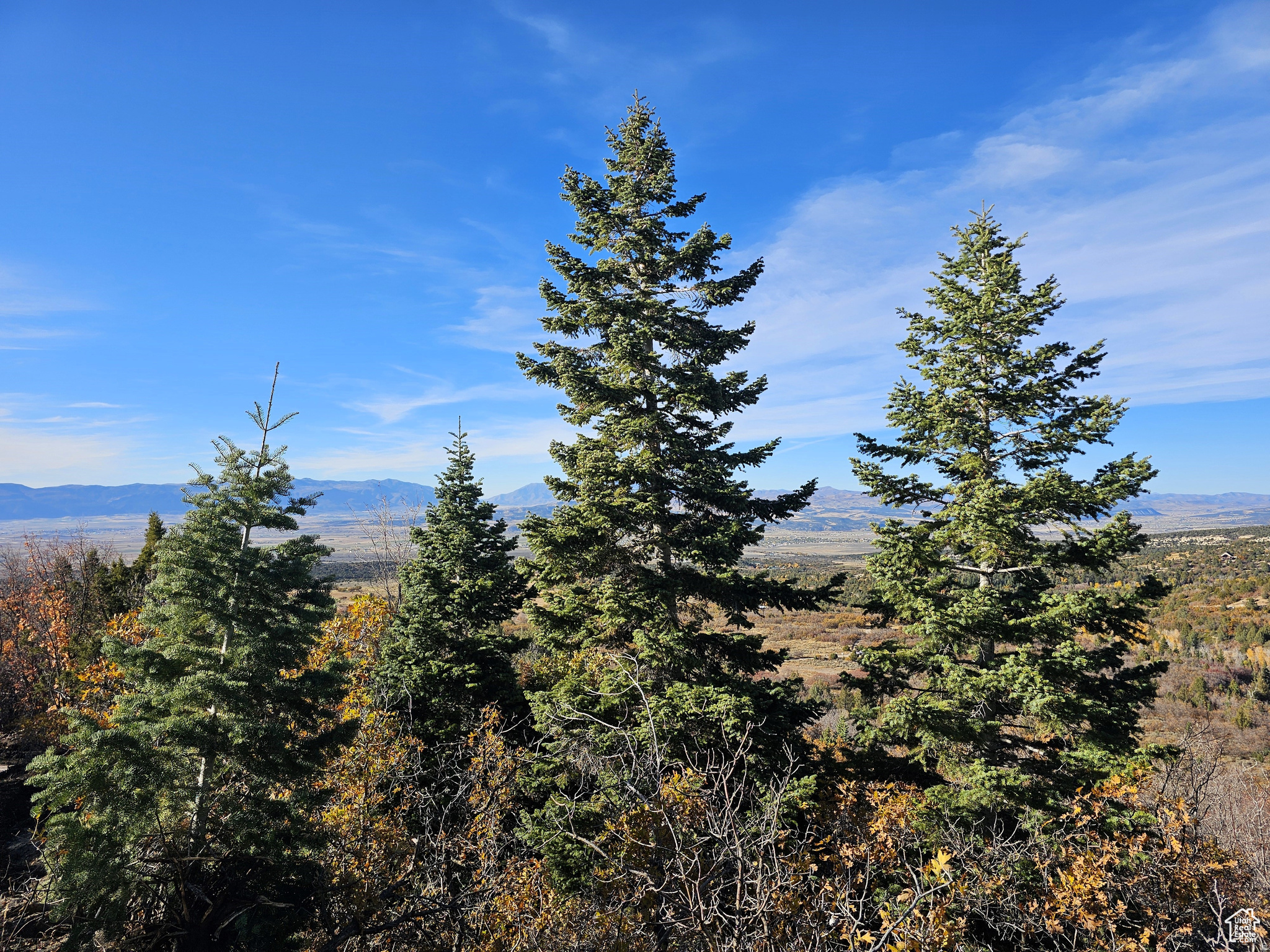 Pine Trees, power and incredible VIEWS with available water! Driveway and pad already installed so you can start using right away. Enjoy views of the Sanpete Valley and surrounding mountains. 6.6 acres, with another 6.5 acres available next door, of heaven, to spread out on. About a mile from a county paved and maintained road. Own your own land, NO HOA, and stop fighting the crowds! Come park your trailer, RV, tiny home, or camp. Elevation is 7,213 feet. This is private land, no HOA! Minutes away from the Manti-La Sal National Forest, Skyline Drive 350-mile trail system, lakes, hiking, hunting, fishing and much more. Come get away from it all and enjoy the beauty of nature and cool, crisp, clean mountain air! About 12 minutes from Mt. Pleasant which feels like a small town and has many amenities: hospital, restaurants, full service hardware and grocery stores, parks, community indoor swimming pool, even a drive-in theater. You would install propane for gas and a septic system for sewer if you choose to. Rocky Mountain Power is available for this lot. Culinary water is available for this lot from a fill station at an additional cost, or have it delivered, or drill your own well. Access in the winter time is snowmobile or ATV on tracks. This property is close to the county road so you have easy access. Additional lots for sale. MLS map is correct. Buyer to verify all information. Google Earth or Maps are 39.480055, -111.401653